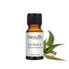 Eucalyptus Essential Oil